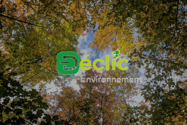 Le Déclic Environnement, un accompagnement à la transition écologique