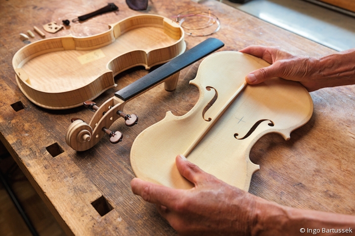 Luthier